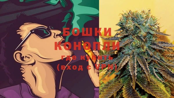 метадон Каменка