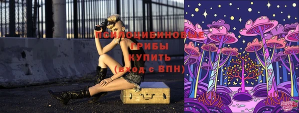 метадон Каменка