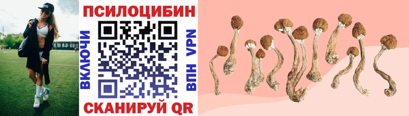 Купить закладки  Бавлы  Галлюциногенные грибы MAGIC MUSHROOMS 